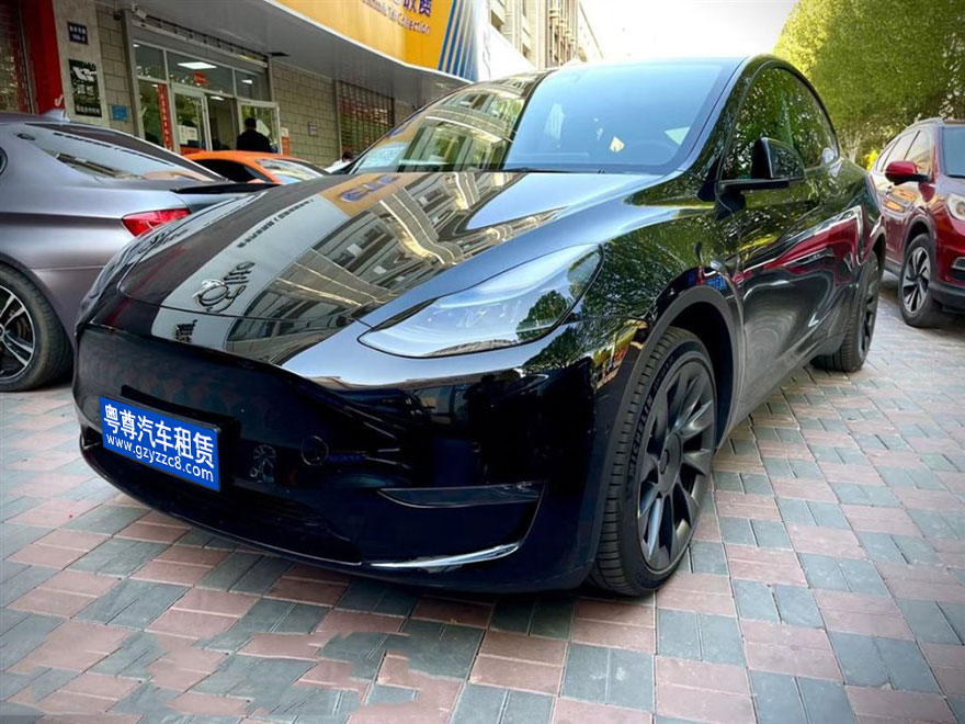 特斯拉-Model Y